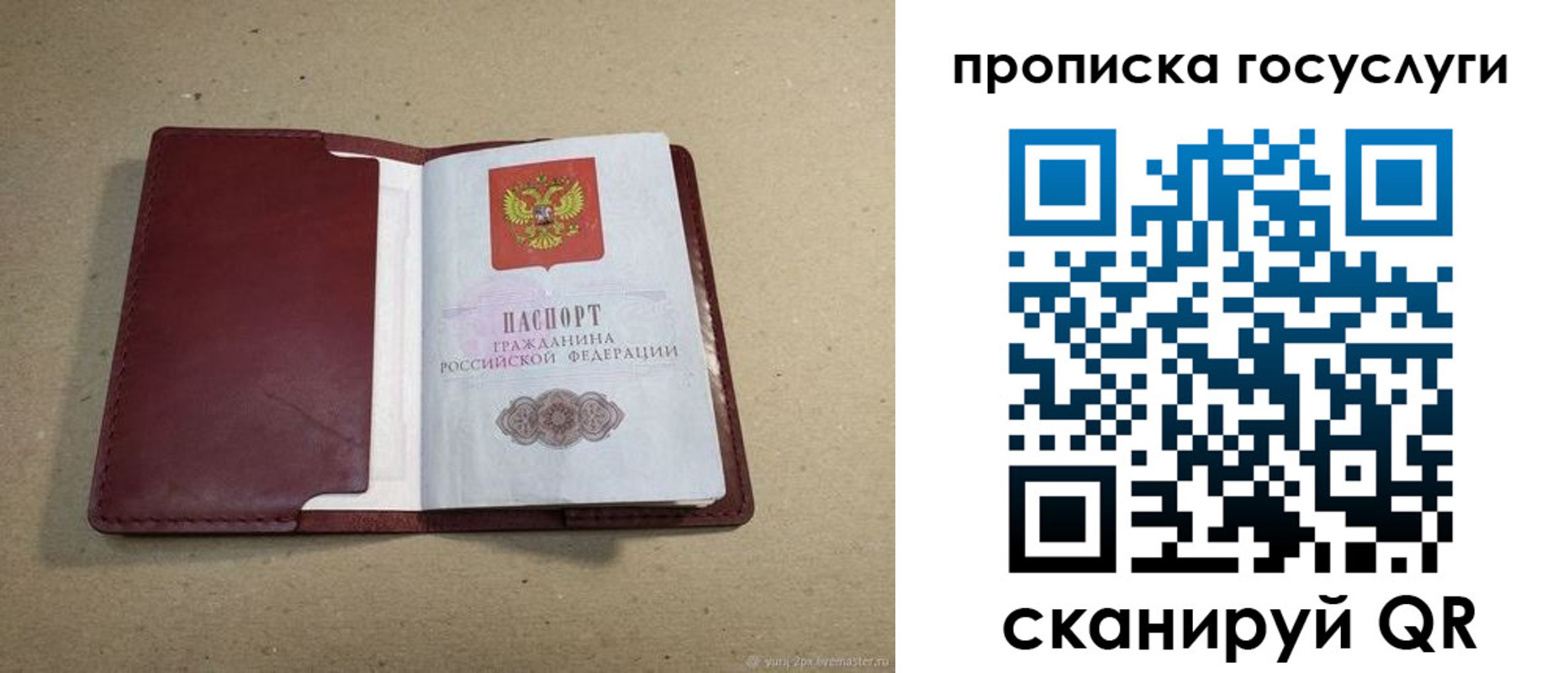 прописка поиск в Краснозаводске